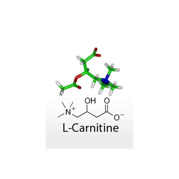 L-Carnitine (แอล คาร์นิทีน)